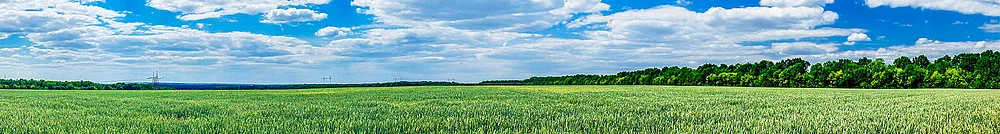 Wasser als Löschmittel ist sehr umweltfreundlich