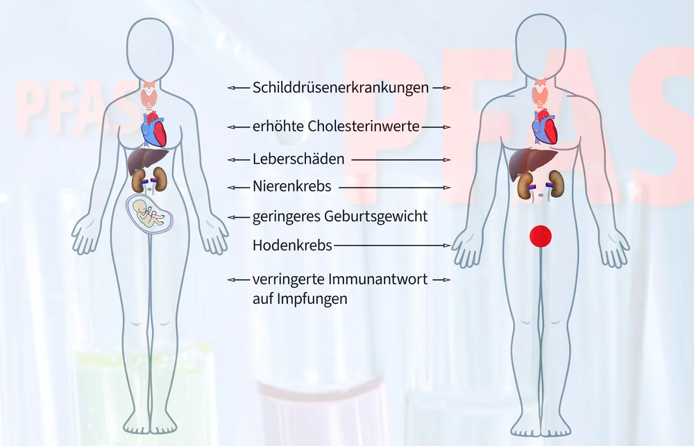 Neben den positiven Eigenschaften haben diese Industriechemikalien jedoch sehr viele Wirkungen, die sich ungünstig auf die Gesundheit von Mensch und Tier und auf unsere Umwelt auswirken. Sie sind teilweise auch toxisch und können unter anderem zahlreiche, ernste (chronische) Krankheiten verursachen, die Wirkung von Impfungen vermindern, die Fruchtbarkeit verringern, Krebskrankheiten verursachen, reduziertes Geburtsgewicht verursachen und vieles mehr …